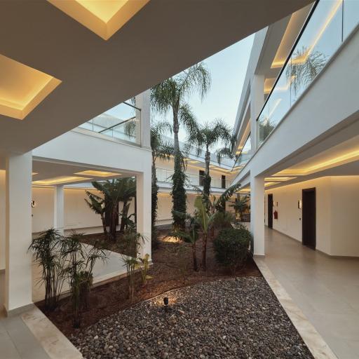 Ein heller Innenhof mit Palmen und Kiesboden in einer modernen Architektur.