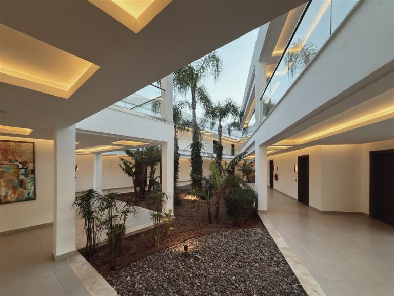 Ein heller Innenhof mit Palmen und Kiesboden in einer modernen Architektur.